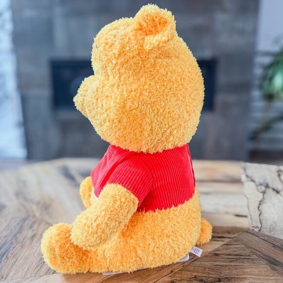 Disney, Winnie The Pooh, Weighted Plush w/ Removable 2.5 lb Weighted Pouch-15”H - Picture 3 of 8